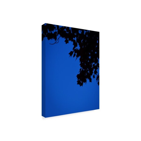 Brenda Petrella Photography Llc 'Blue Maple Silhouette' Canvas Art,14x19